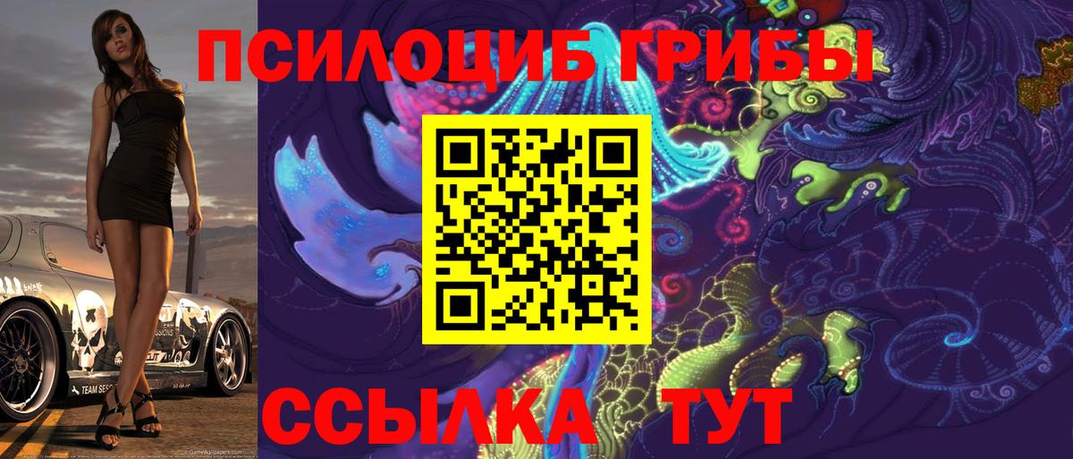 Галлюциногенные грибы мухоморы  Вход с VPN  Бирск  Псилоцибиновые грибы Psilocybe 